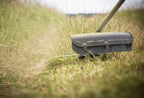 Pielęgnacja trawnika w końcówce lata - co oprócz aeracji jest do zrobienia